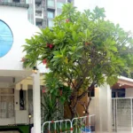 Rina Spa Nuru Massage