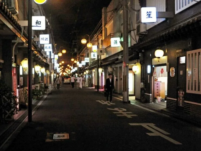 飞田新地：在千年古都的粉红灯光下，看日本人如何把“非法”玩成“艺术”配图