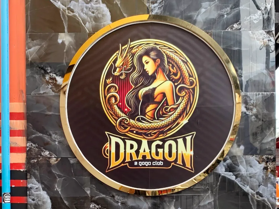 Dragon Gogo配图1
