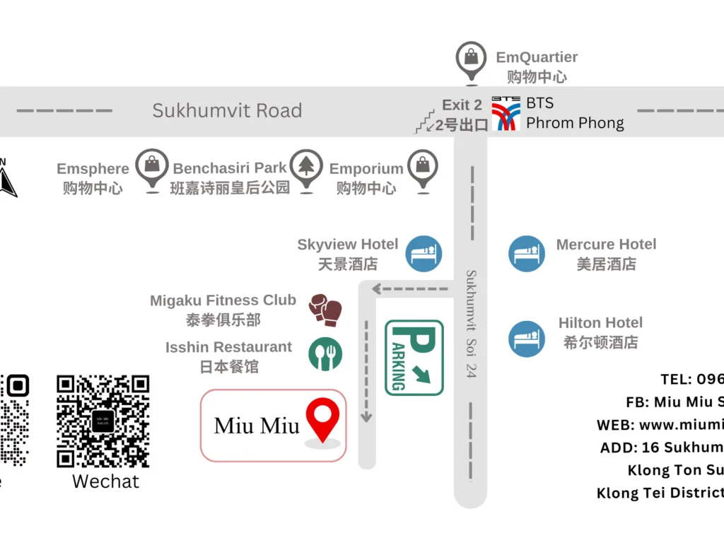 Miu Miu Salon配图14