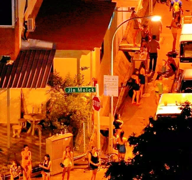 新加坡真的只有花园？带你看看芽笼和LP酒吧的2026最新行情配图